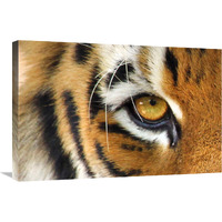 Tiger Eye-Canvas Art-30"x20.1"