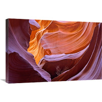 Tumbleweed Canyon-Canvas Art-30"x20.1"