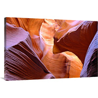 Golden Canyon-Canvas Art-40&quotx26.8"