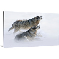 Brothers Howling-Canvas Art-36"x23.4"