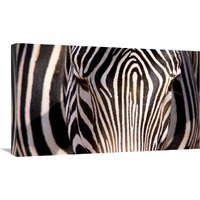 Zebra Head-Canvas Art-30"x18"