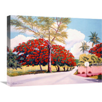 Poncianna Drive-Canvas Art-24"x18"