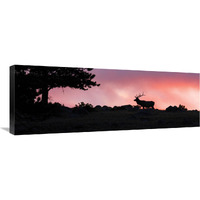 Red Sky at Night-Canvas Art-36"x12.96"