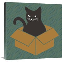 Cat in a Box - Blue-Green-Canvas Art-24"x24"