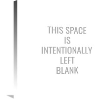 This Space Is Intentionally Left Blank-Canvas Art-24&quotx24"