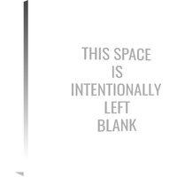 This Space Is Intentionally Left Blank-Canvas Art-36&quotx36"