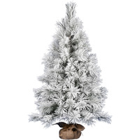 48" Frosted Beckett Pine Tree 123Tips