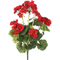 20" Red Geranium Bush 4/pk