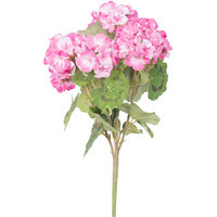 18" Lt Pink Geranium Bush 4/pk