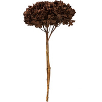 15" Brown Hydrangea Stem