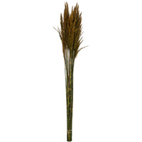 36" Aspen Gold Plume Reed Bundle 7oz