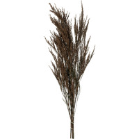 36-40" Green Reed Grass Bundle 8oz