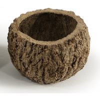 3" Natural Mayan Coconut 10/Pk