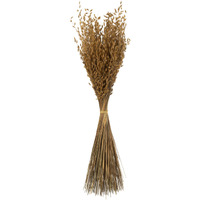 30" Natural Princess Grass 21oz