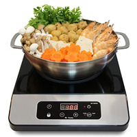 1650W Induction with Stainless Steel Panel + Pot Combo