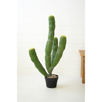 ARTIFICIAL MULTI TRUNK CACTUS IN A PLASTIC POT