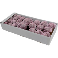 2"- 6" Pink White Sola Rose Asst 23Box