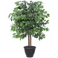 4' Ficus Bush in Gray Plastic Pot