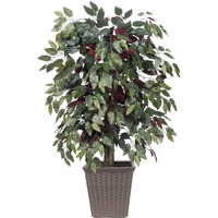 4' Capensia Bush Square Brown Container