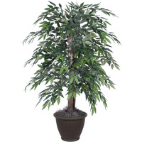 4' Green Smilax Bush in Brown PlasticPot