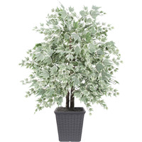 4' Silver Maple Bush Square Gray Cont