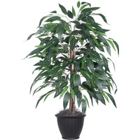 4' Mango Bush in Gray Plastic Pot