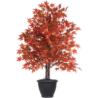 4' Orange Maple Bush in Basketw\Gray Pot