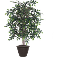 4' Mini Ficus Bush in Brown Plastic Pot