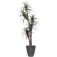 6' Marginata Executive Round Gray Cont