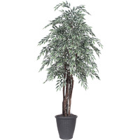 6' Variegated Smilax Executive Rnd Gray