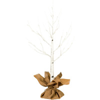 3' White Birch Twig Tree LED 36WW