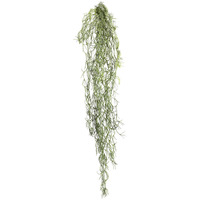 Vickerman 29.5" Tillandsia Root Pk/3 - FE173301-3