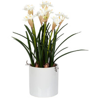 Vickerman 16.5" White Daffodil in Ceramic Pot - FJ180301