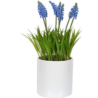 Vickerman 13.5" Hyacinth Flower in Ceramic Pot - FJ180401