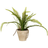 Vickerman 12" Green Fern Bush - FJ180901