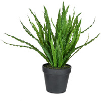 Vickerman 16" Bird Nest Fern In Pot - FJ190316