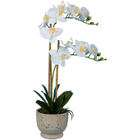 Vickerman 24.5" White Phal in Cement Pot RT - FN180802