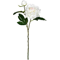 Vickerman 16" Pink Cream Peony Spray 6/Pk - FV190971