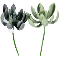 Vickerman 8" Green Echeveria Spray 4/Pk - FV192508