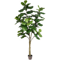 Vickerman 7' Potted Fiddle Tree 89Lvs - TB180284