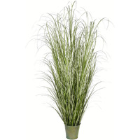 Vickerman 72" Native Green Grass In Iron Pot - TD190572