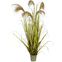 Vickerman 55" Green Reeds Grass In Iron Pot - TD191055