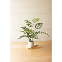 ARTIFICIAL FERN IN A CEMENT POT