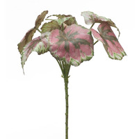 Begonia Leaf (Set of 24) 11.5"H Polyester