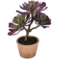 Vickerman 12" Purple/Green Succulent in Paper Pot - FE192412