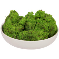 2 Lb Grass Green Preserved Reindeer Moss