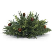 Arborvitae Half Orb 13"D