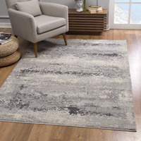 4 x 6 ft. Gray Modern Abstract Area Rug - Gray - 4' x 6'