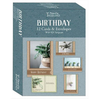 Houseplants Birthday Boxed Card - Pack of 12