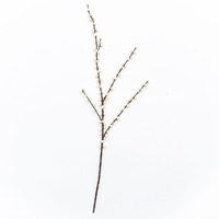 AI-FL6214CRW-Q01 White Berry Branch Pick